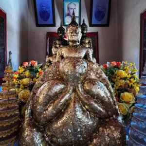 春武里府“五虎”必达，是指春武里府制作必达佛口碑极佳的五大老一辈僧侣，在泰国佛牌收藏界享有极高的声誉。