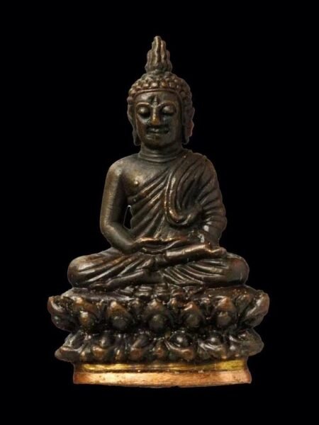 超级特别版的一期药师佛、小立尊佩戴型；督造于佛历2565年、由现任僧王特赐给曼谷瓦阿武寺（神尼寺）帕贴班崖姆尼住持、药师佛底座为僧王专属徽标，限量督造999尊。