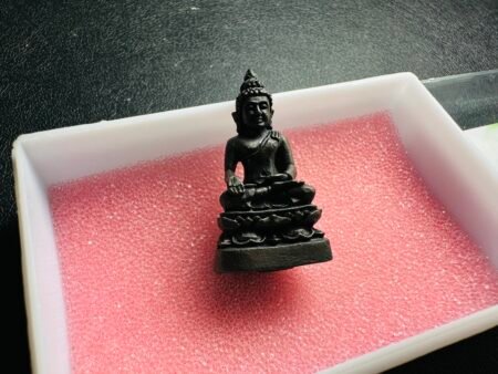 2552年药师佛、督造于龙婆添肥添之寺瓦帕考寺，龙婆添（Luang Phor Tim Wat Pakao）出生于佛历2456年，公元1913年3月10日，圆寂于佛历2552年，也就是公元2009年3月22日，享年96岁。是泰国当代著名的高僧。常年四处游历，向Wat Na Tang Nok LP Chong（龙婆钟）Wat Paknam LP Sod（龙婆术）等多位高僧名师学习各种经典与禅定，以及神通。不仅佛法修为深厚，而且非常的慈悲，在森林中苦行的时候，哪怕蚊子叮咬，都不忍驱赶。在佛牌圈的圣物在求财类、人缘方面颇有口碑。